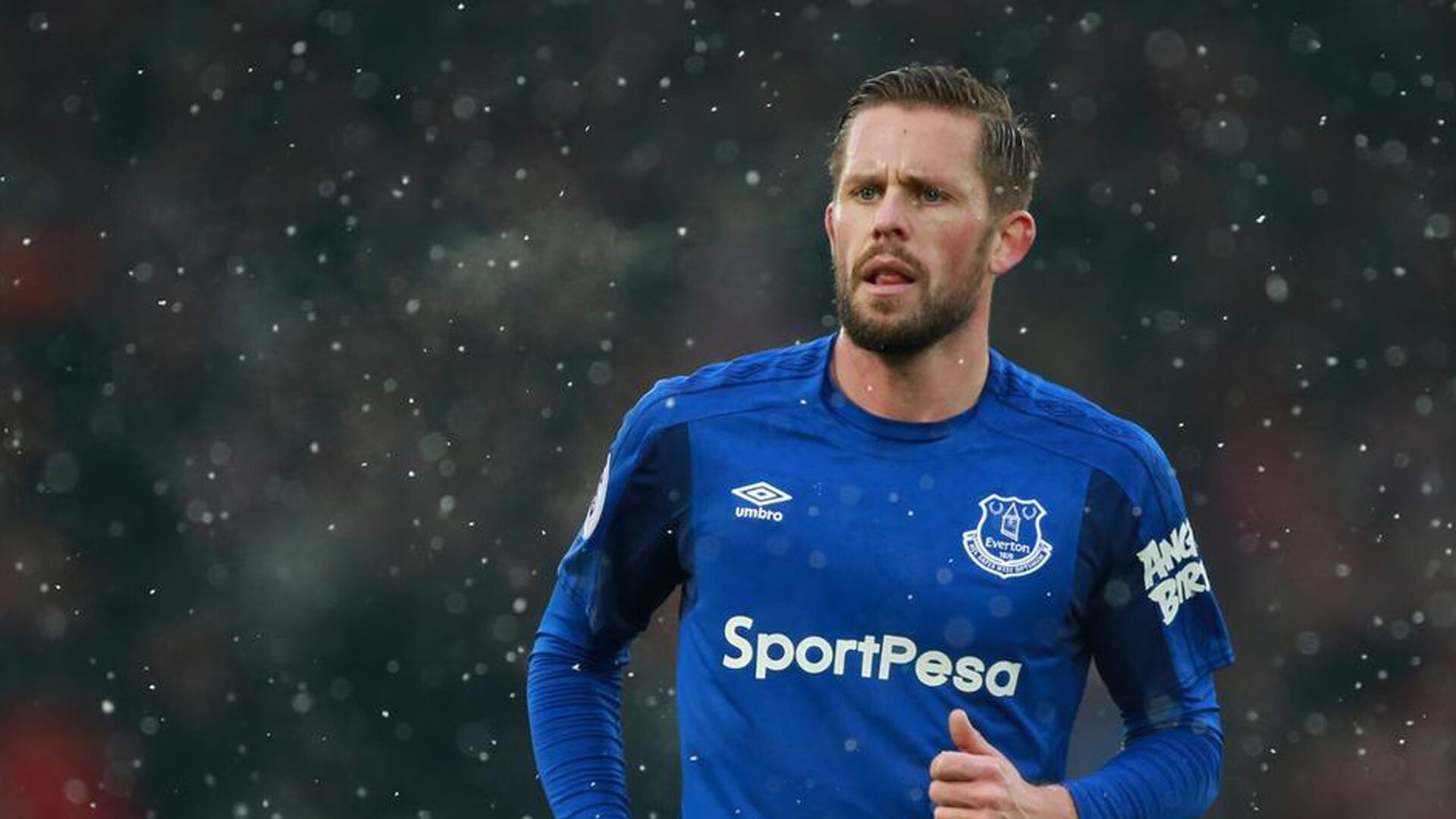 欧冠比赛分析成为球迷热议话题